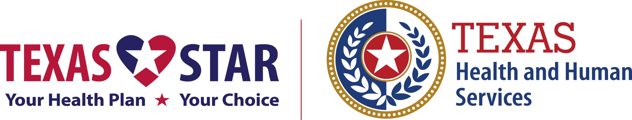 Texas STAR Logo
