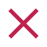 X Mark Icon
