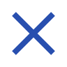 X Mark Icon