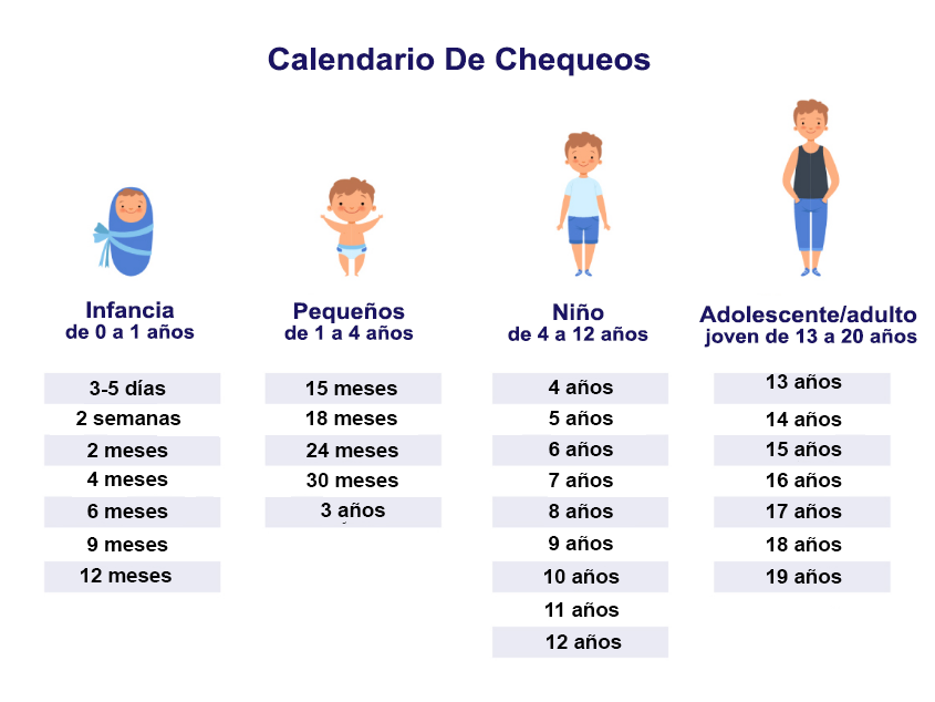 Calendario De Chequeos